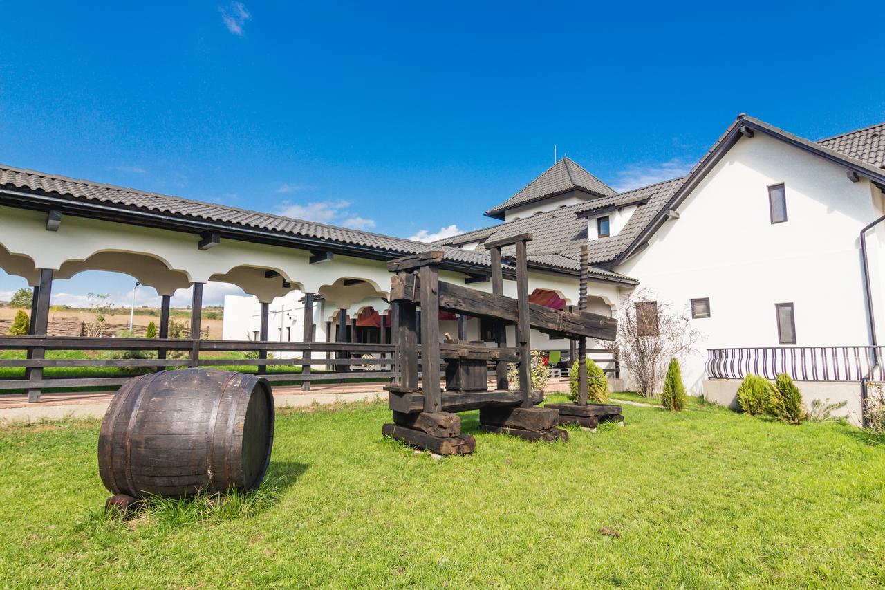 Hotel Vinalia - Conacul Din Ceptura Ceptura de Jos Exterior foto